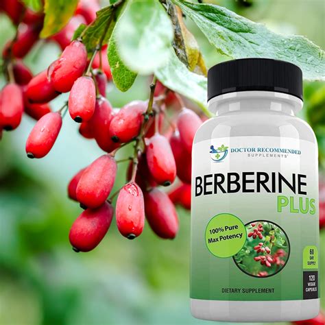 why don't doctors recommend berberine